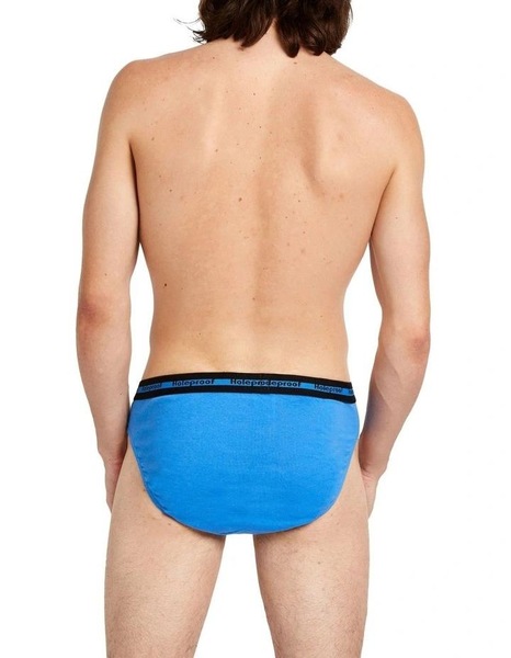Image 7