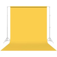 Savage Widetone Sand Yellow Studio Photography Prop Backdrop Background Paper