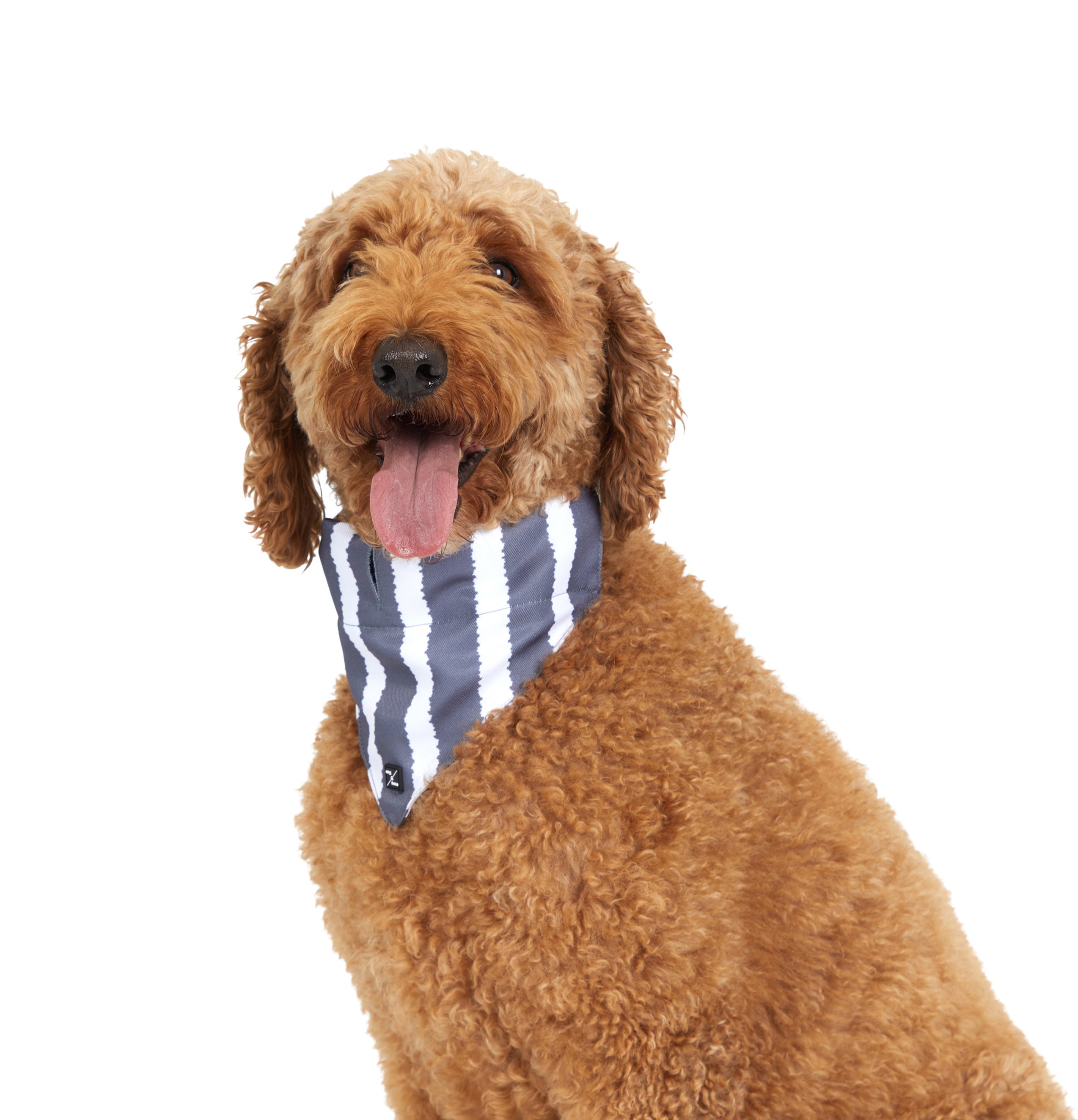 Dog Bandana - Charcoal Hamptons Stripe