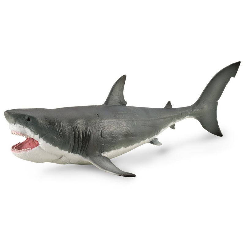 Buy Collecta Deluxe Megalodon Movable Jaw - MyDeal