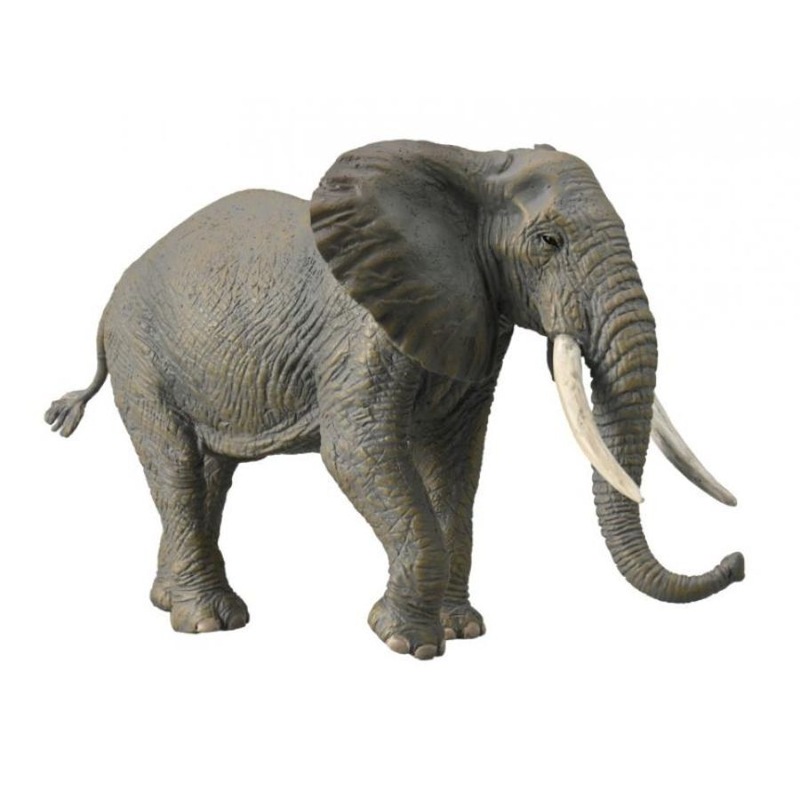 Buy Collecta Extra Large African Elephant - Mydeal