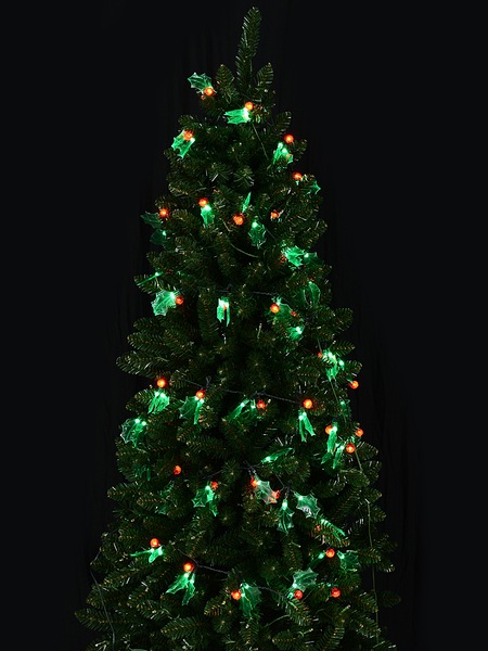 Image 4