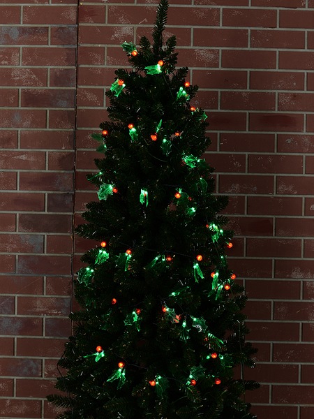 Image 5