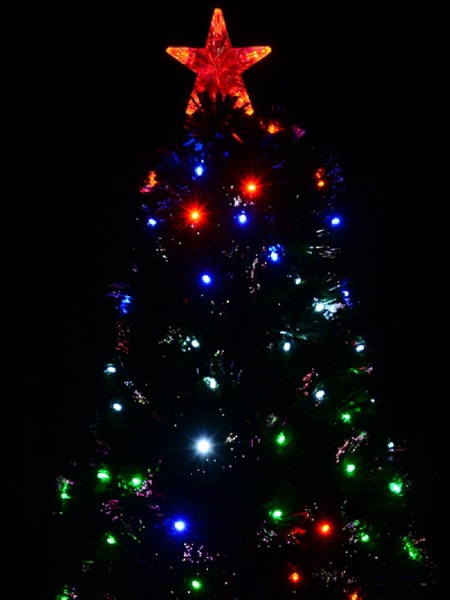 Image 5