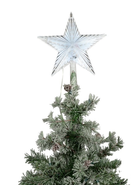 Image 5