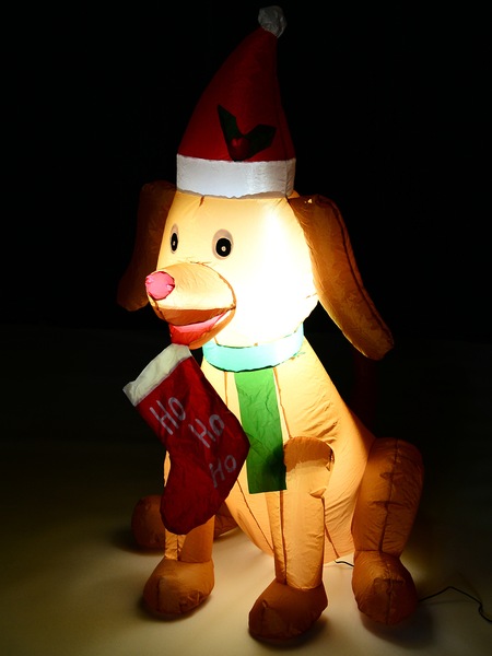 Image 4