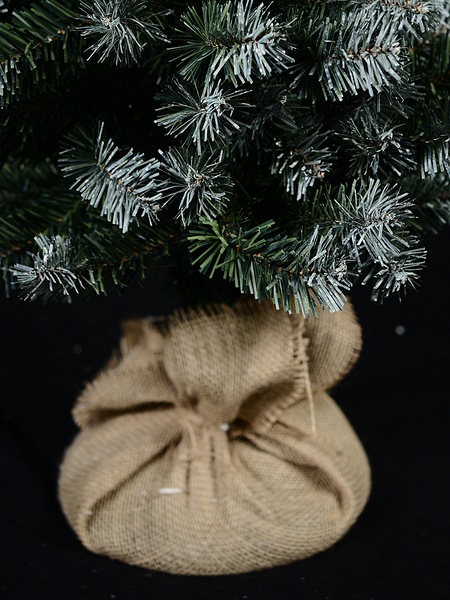 Image 6
