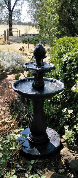 Image 8