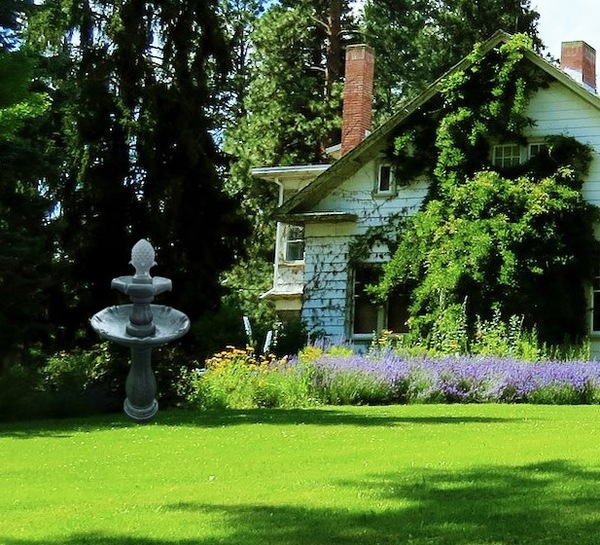 Image 9