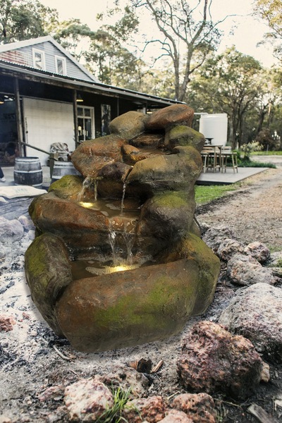 Image 7