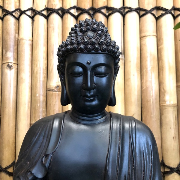 Image 19