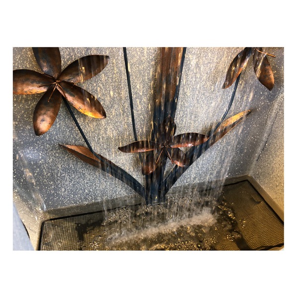 Image 15