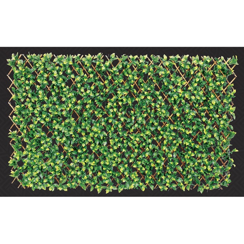 Buy Expanding Laurel Leaf Trellis, 180x90cm MyDeal