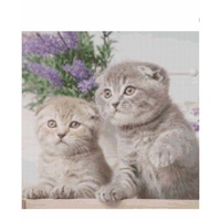 Cross Stitch Pattern Courtney and Dayna Kittens X Stitch Gwen St Designs