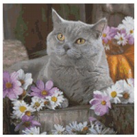 Cross Stitch Pattern Gracie Grey Kittens X Stitch Gwen St Designs