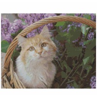 Cross Stitch Pattern Moggy Megan Kittens X Stitch Gwen St Designs