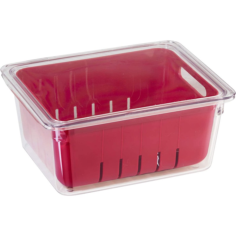 Buy OGGI StoreFresh Fruit/Berry Storage Container Single Bin MyDeal