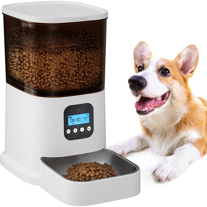 Buy 6L Automatic Cat Feeder with Programmable Digital Timer, Voice ...