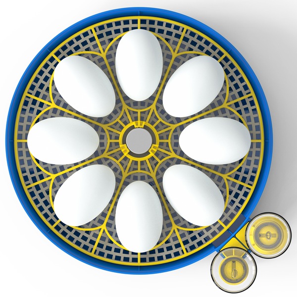 Image 2
