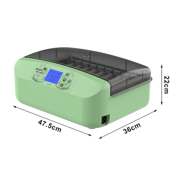 Image 2