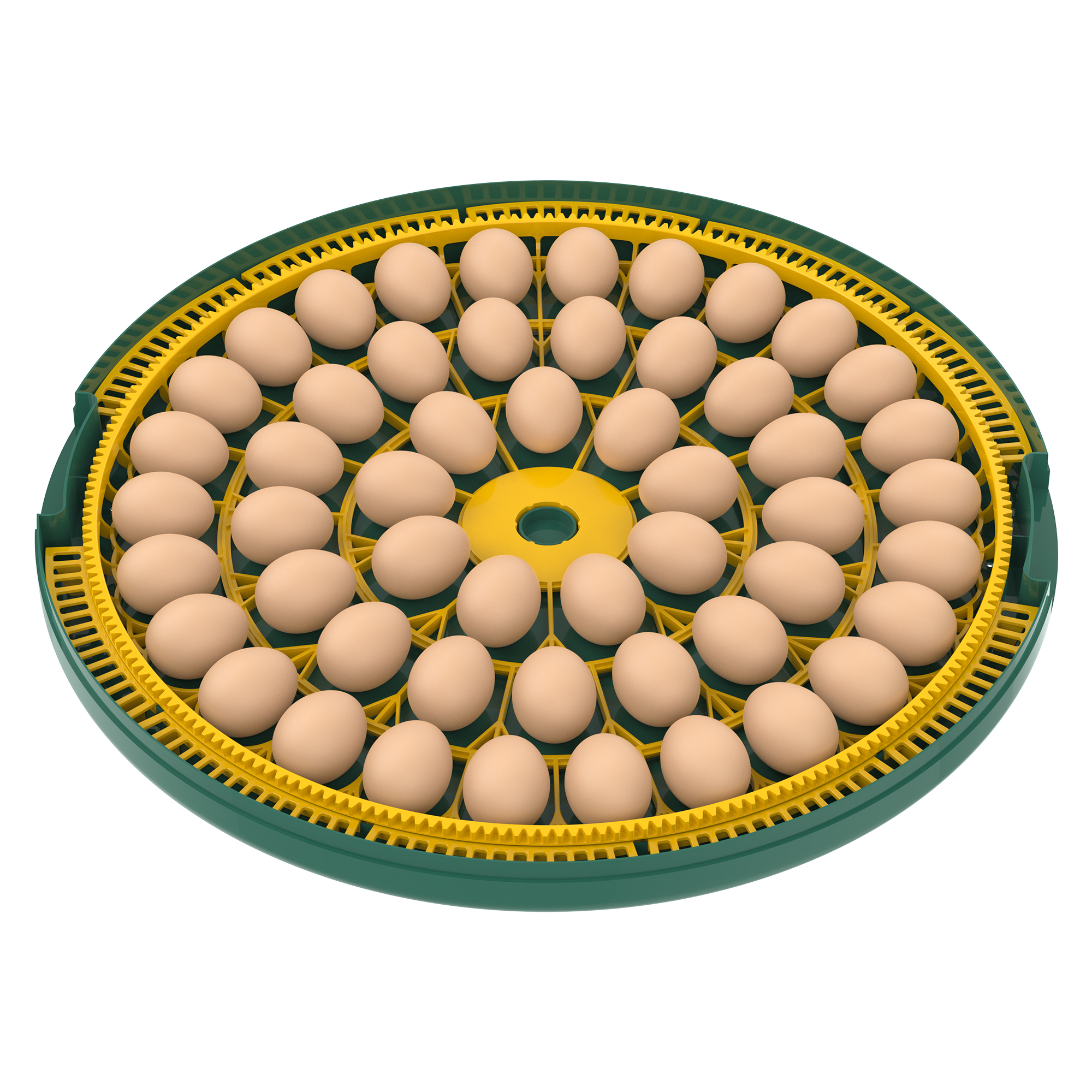Image 2