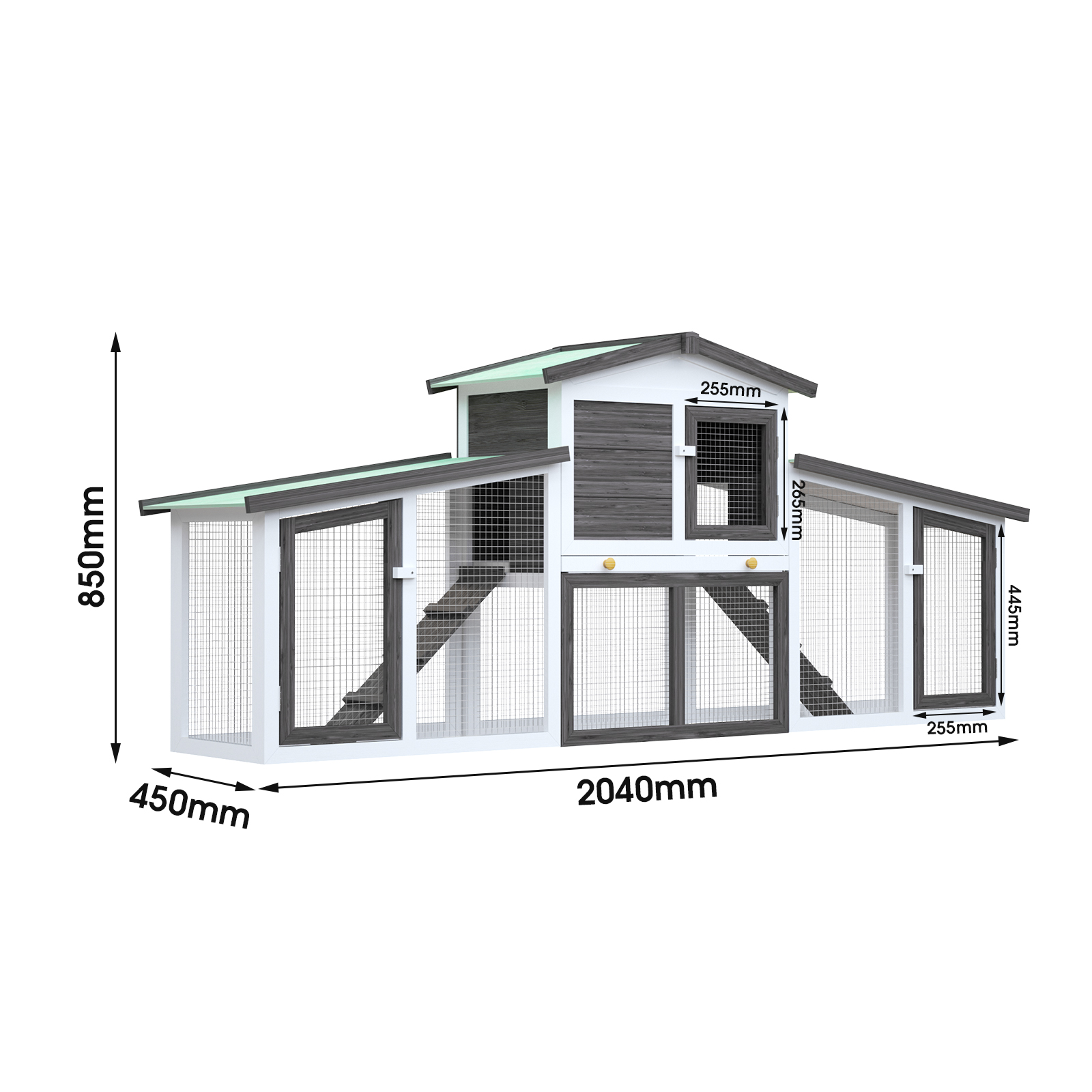 Image 6