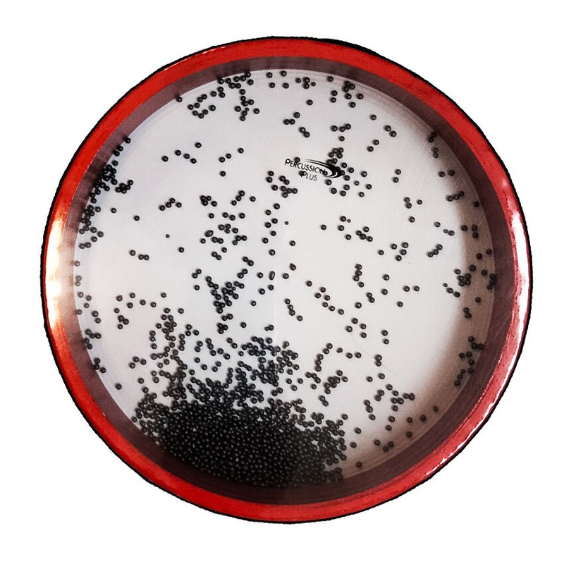 Buy Percussion Plus 10" Handheld Ocean Drum Sound Effect MyDeal