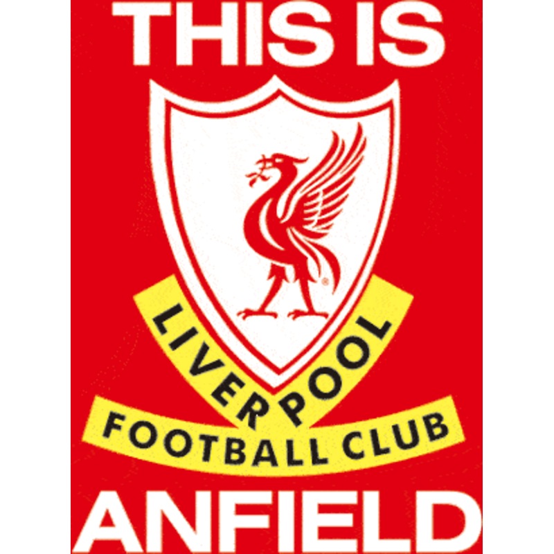 Buy Liverpool FC 3D Print MyDeal