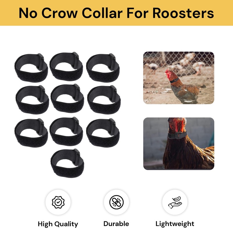 Buy EZONEDEAL 10pcs No Crow Rooster Collar, Chicken Collar AntiHook