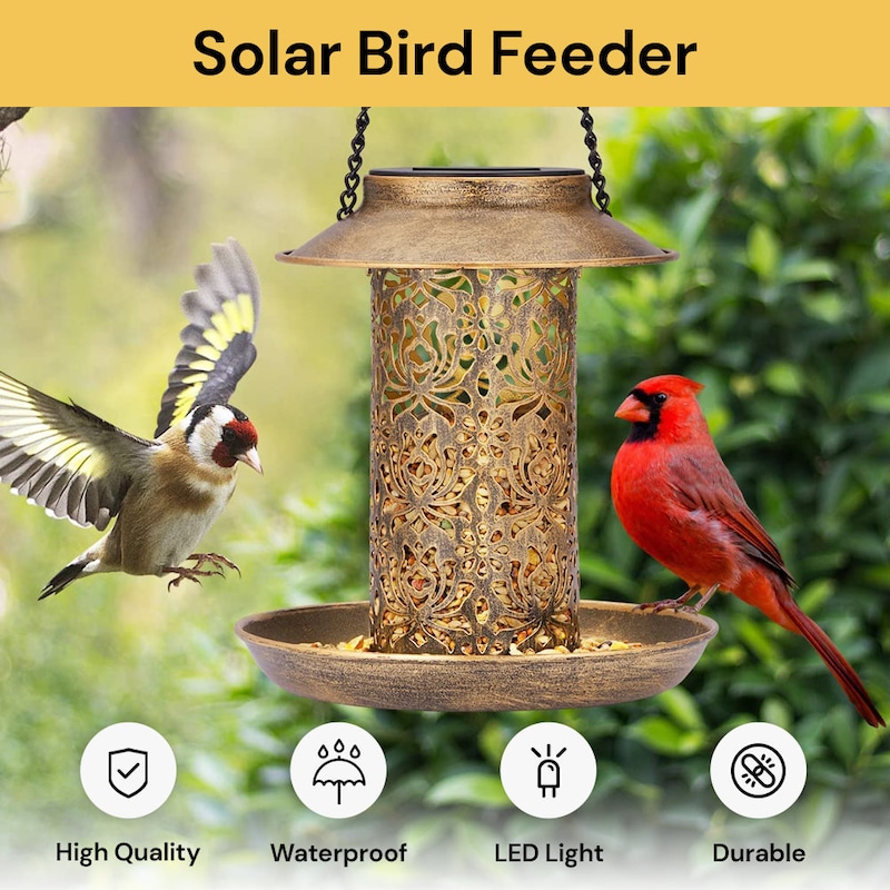 Buy EZONEDEAL Solar Powered Bird Feeder Light Outdoor Solar Lamp Solar ...