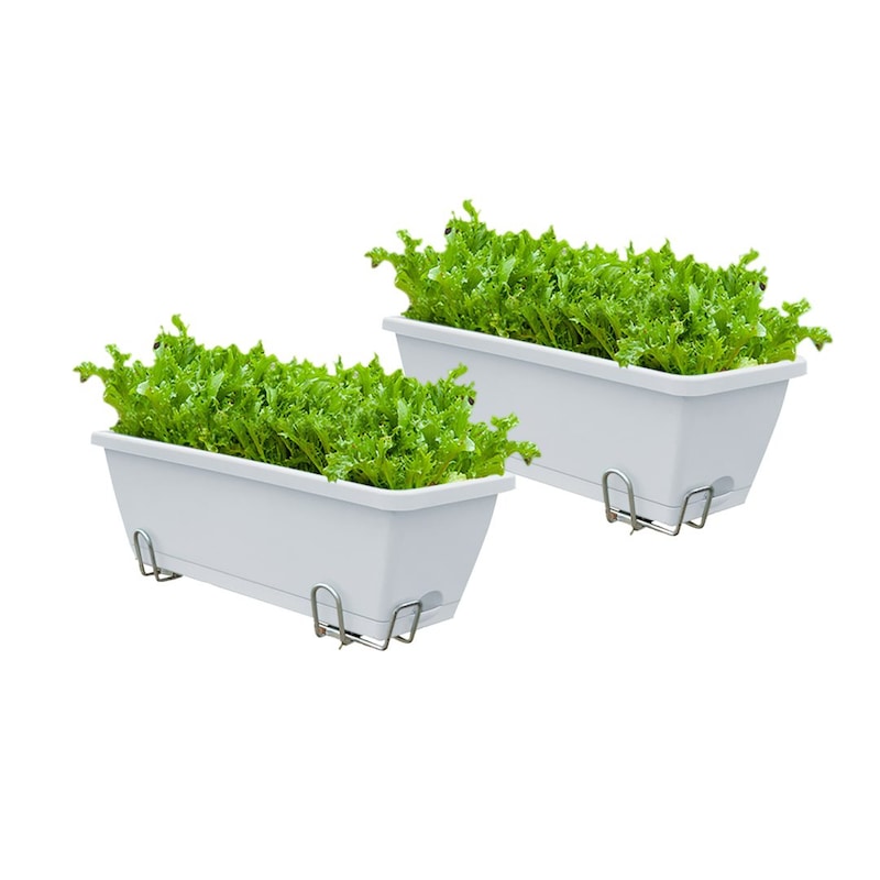 Buy SOGA 49.5cm White Rectangular Planter Vegetable Herb Flower Outdoor ...