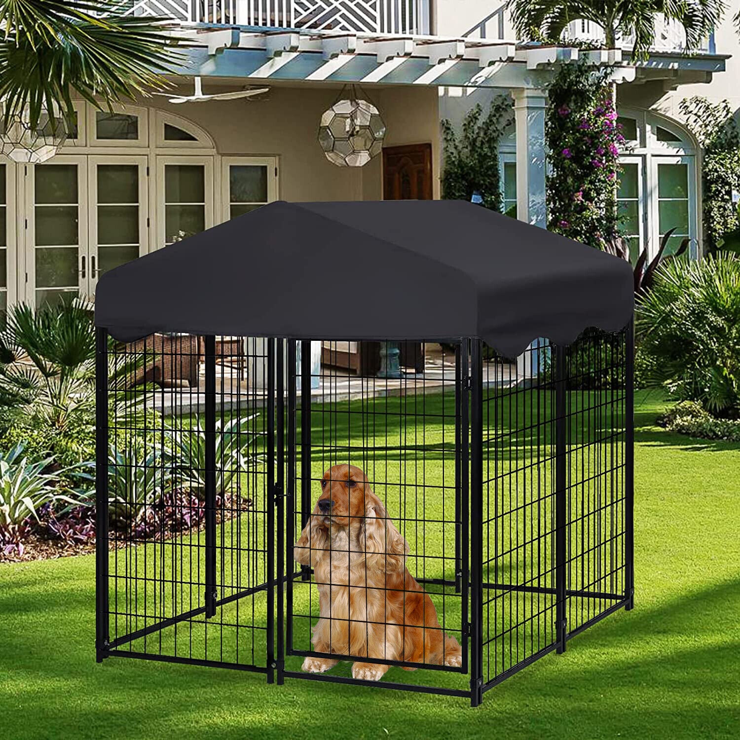 Large enclosed dog sales crate