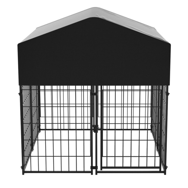 Image 4