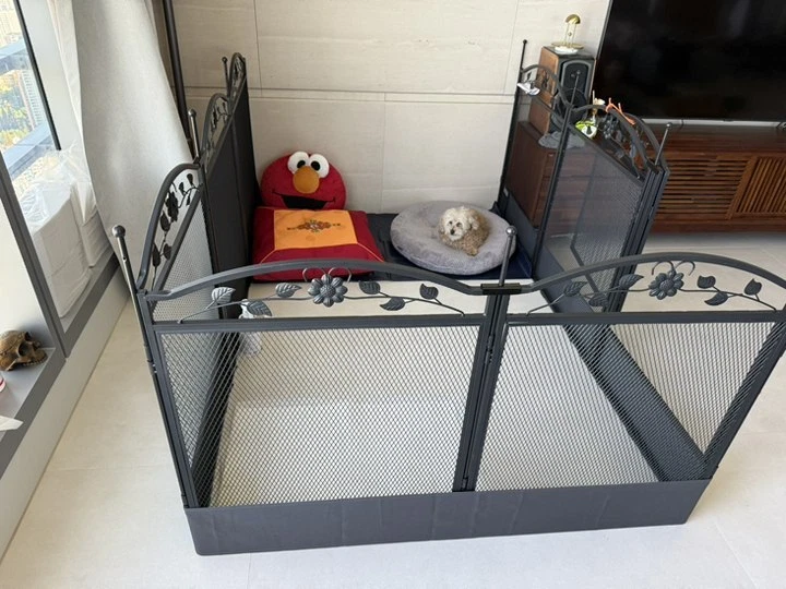 Image 4