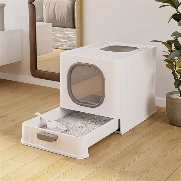 Image 5