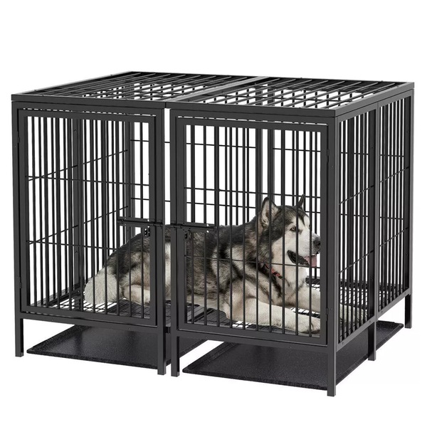 Image 7