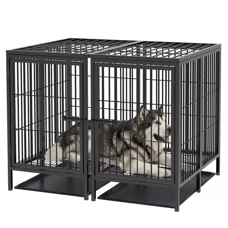 Image 7