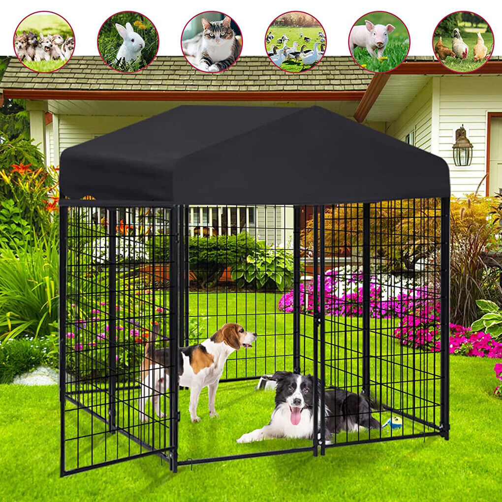 Pine island hotsell dog kennel