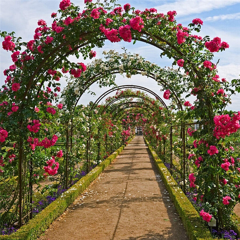 Buy Heavy Duty Metal Garden Arch Trellis Arbour Outdoor Rose Climbing ...