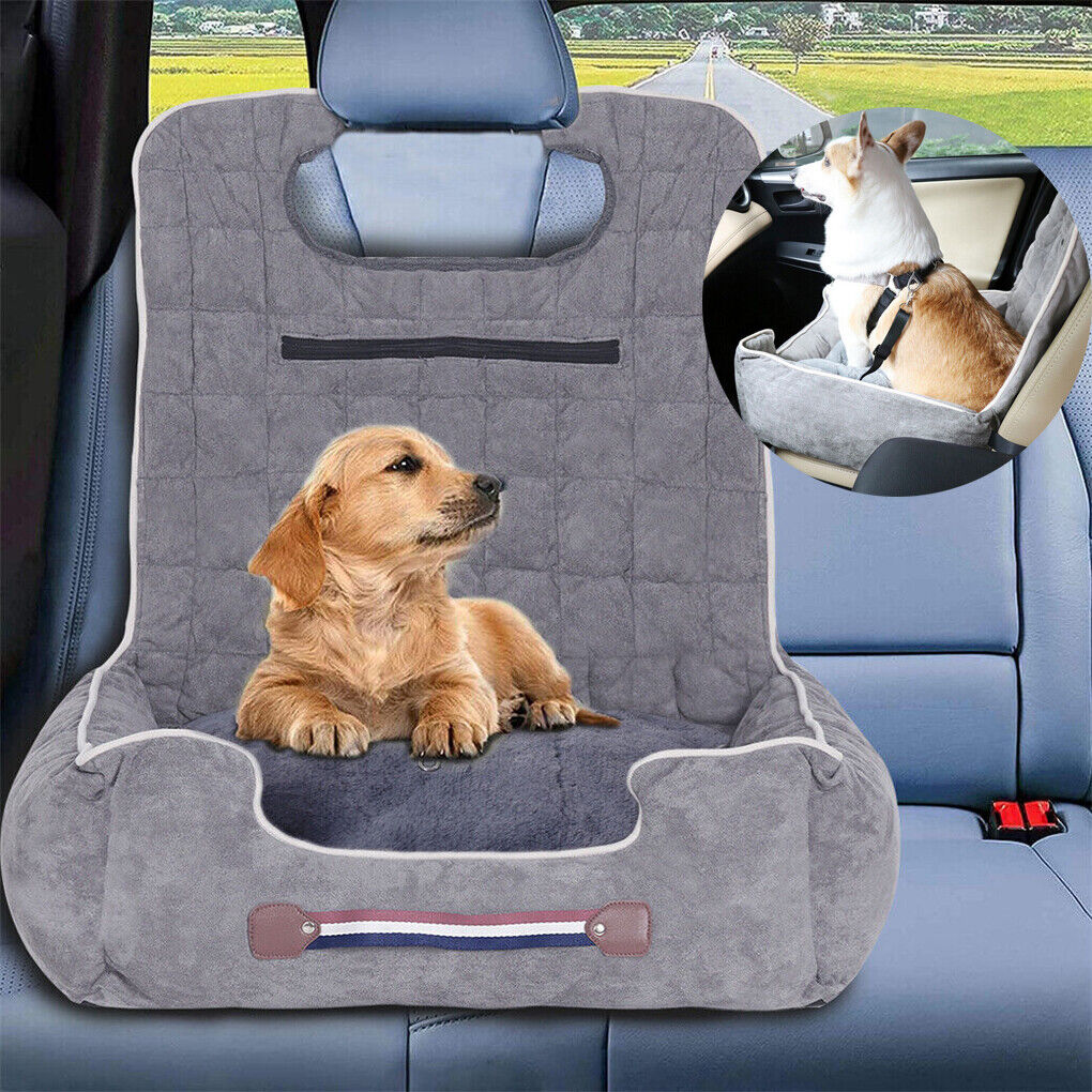 Double dog outlet car seat