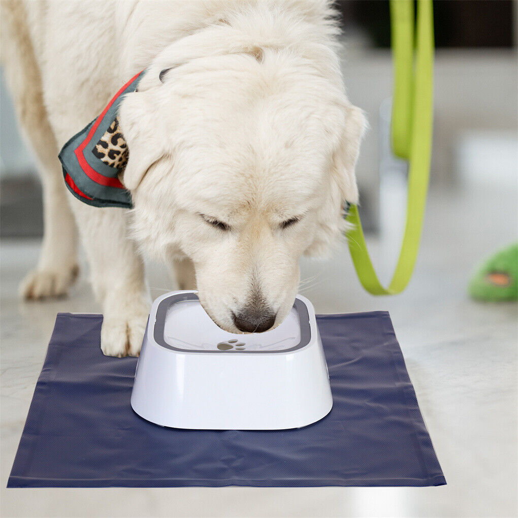 Dog water bowl slow best sale down drinking