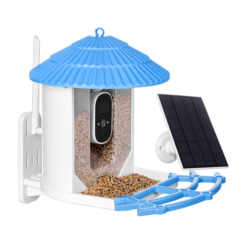 Premium Window Bird Feeder for Outside - Clear Bird House w/Largest Window  for Viewing Birds - Easy to Install & Sturdy Feeder w/Extra Strong Suction  Cups - Perfect for Kids, Adults and