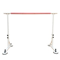Portable Ballet Barre with Suction Base Freestanding Stand