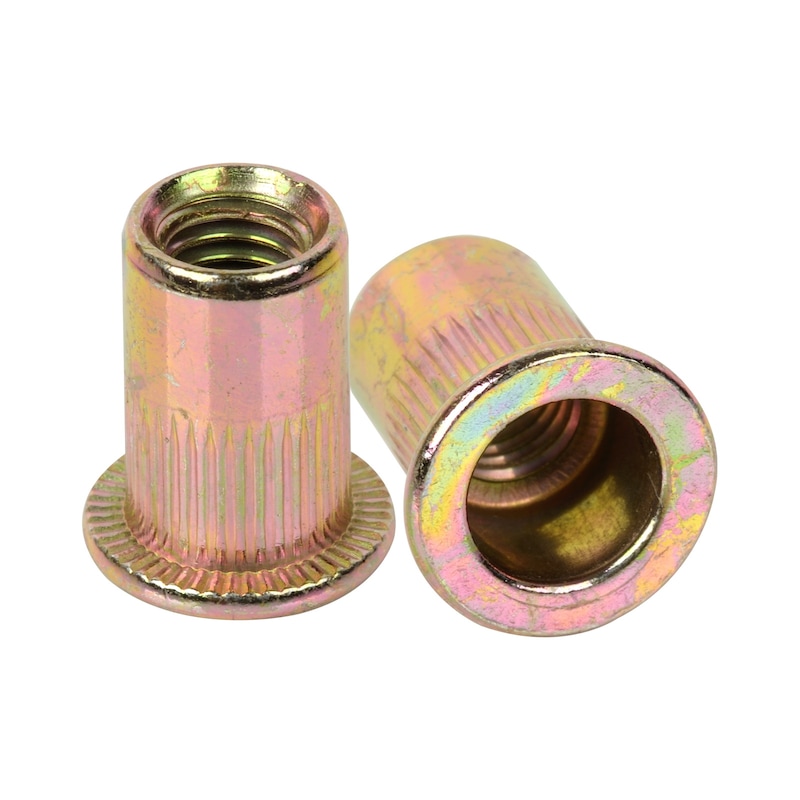 M10 Threaded Rivet Buy M10 Rivet Nuts Metric Nutserts, Zinc Plated,Nut Bolt Flange Blind ...