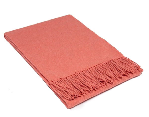 Image 22