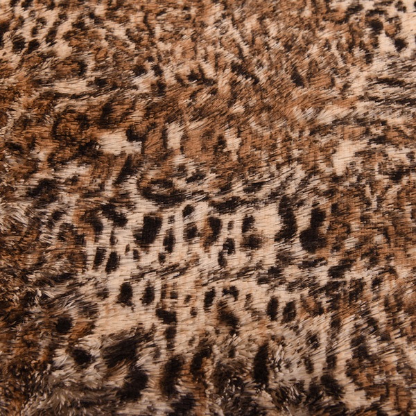 Image 26