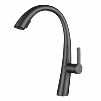 Electro-plated Black Pull Out 2 Modes Swivel Spout Kitchen Laundry Sink Mixer Tap Faucet