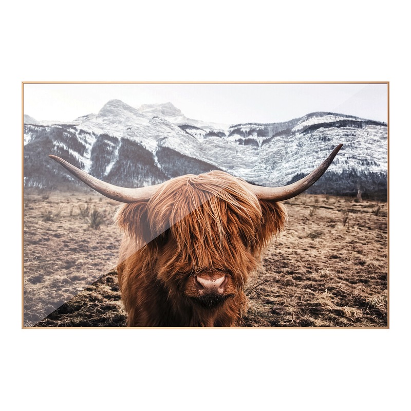 Buy Highland Cow Art Print Highland Cattle Wall Art Home Framed MyDeal