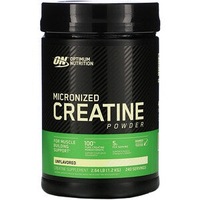 Micronized Creatine Powder