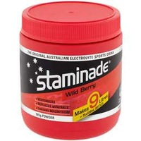 Staminade Sports Drink (585g)